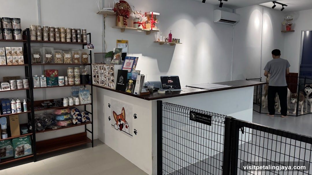 Pet Shop Interior