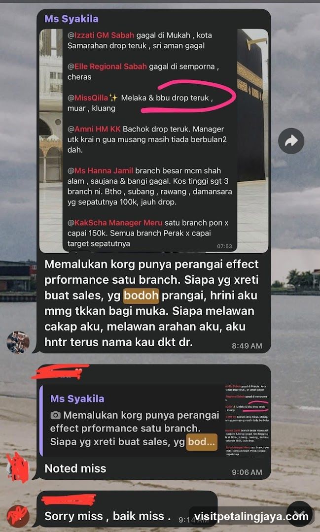 Chat conversation screenshot