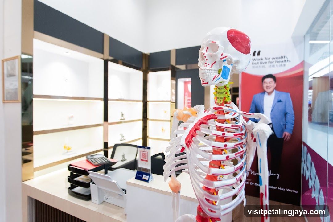 Anatomical Skeleton Display in Retail Interior