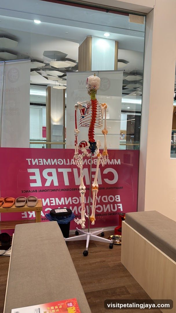 Skeletal Model Display