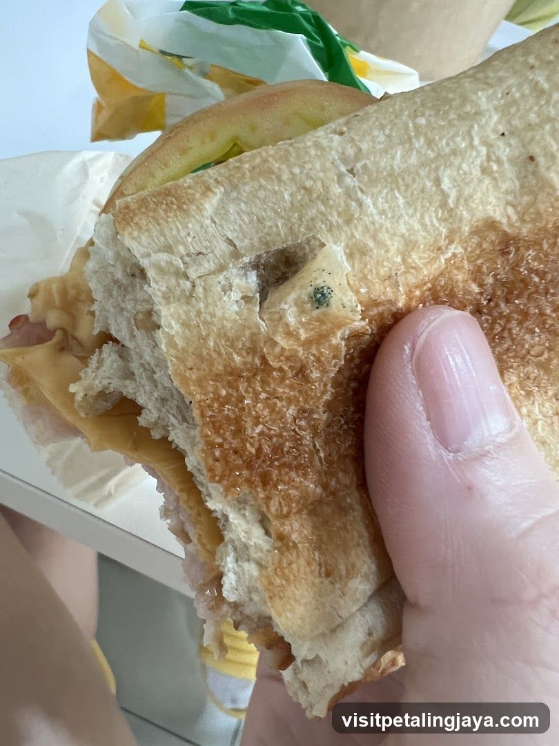 Sandwich Close-up