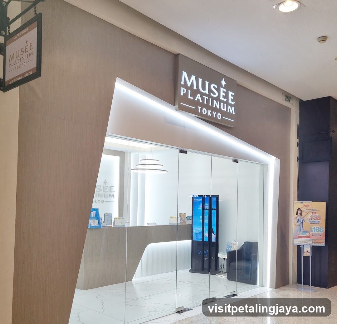 Musee Platinum Tokyo, The Curve