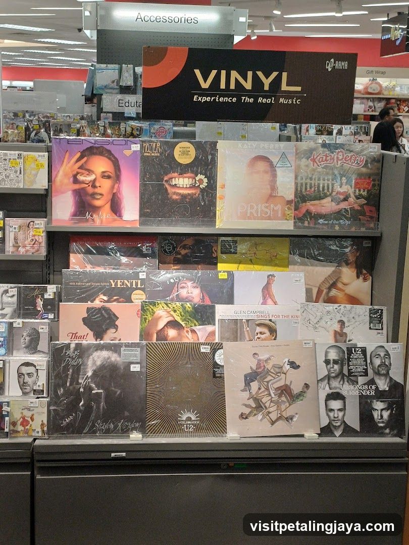 Vinyl Record Display in Store