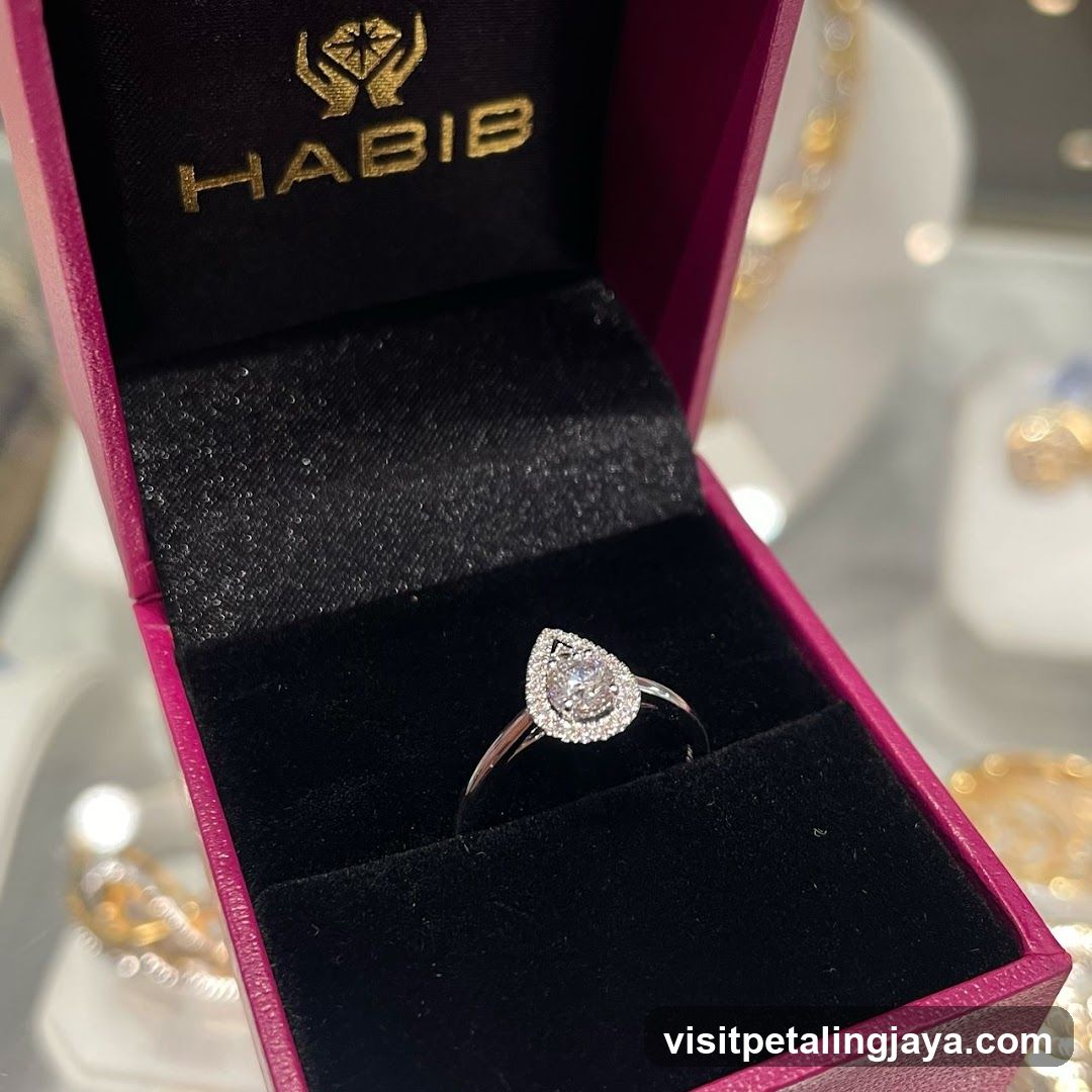 HABIB Ring Display