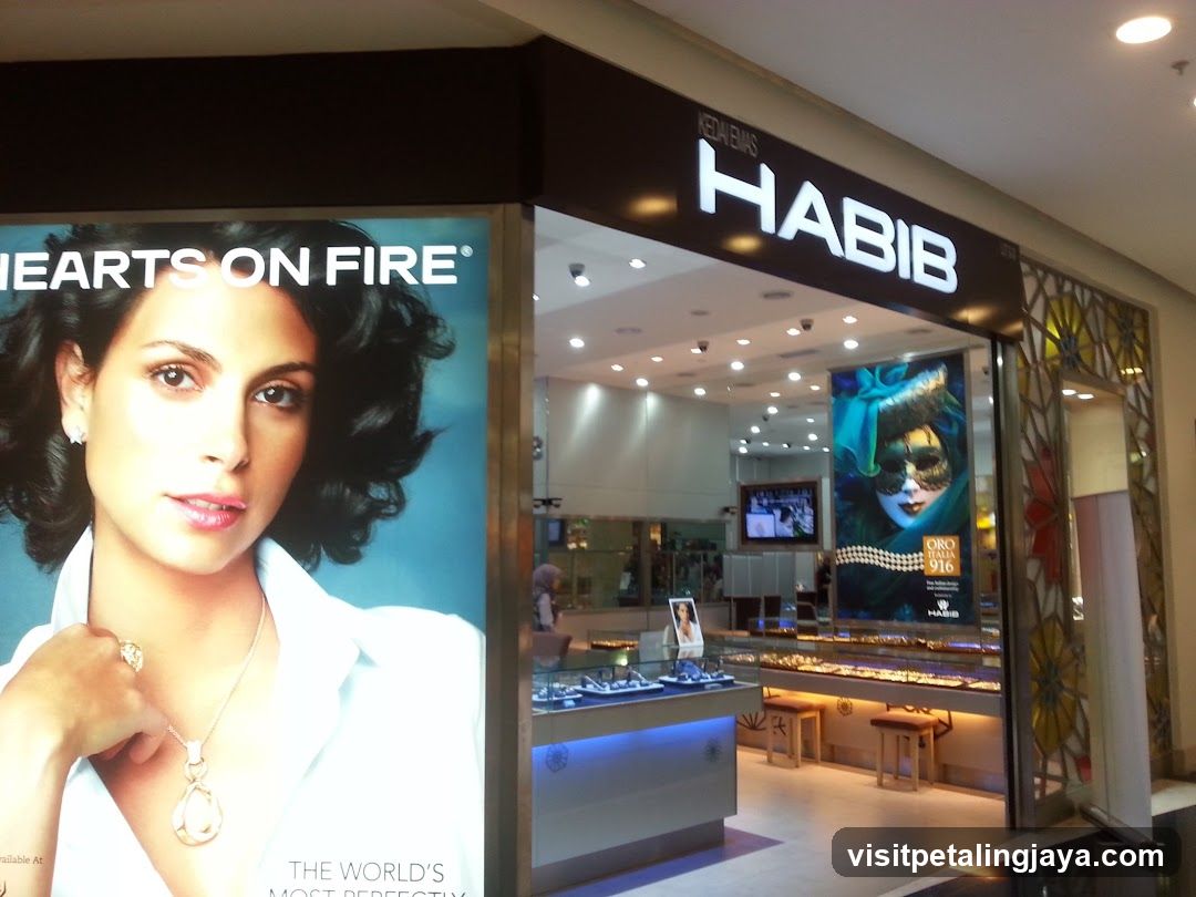 HABIB The Curve