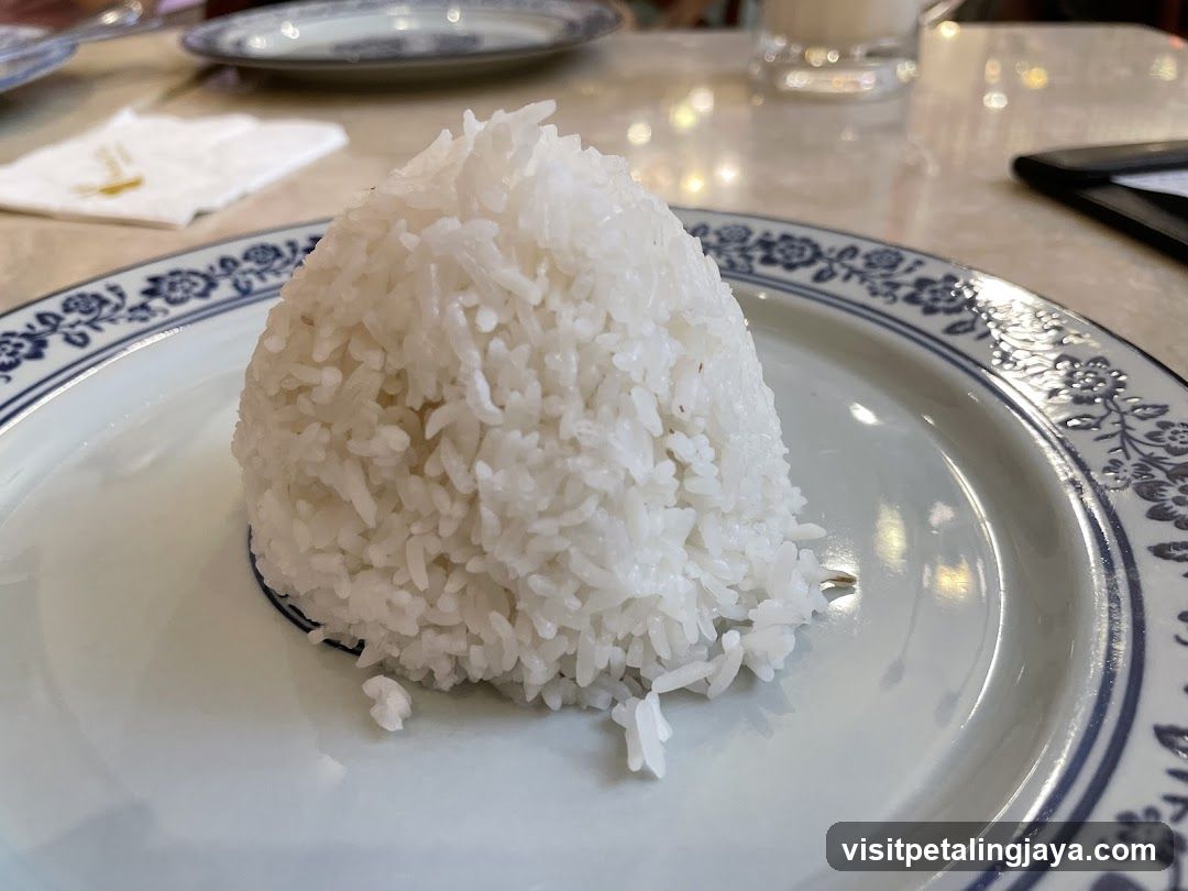 Rice Ball on Plate