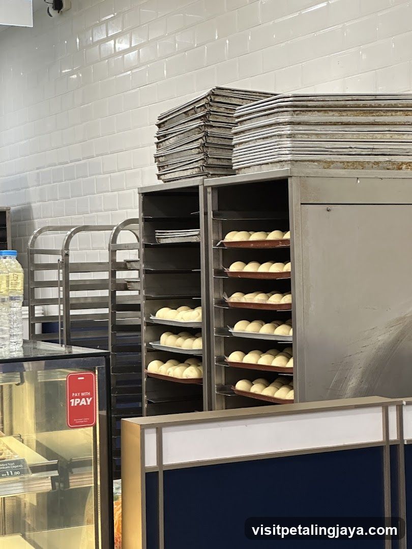 Bakery Interior with Dough Buns