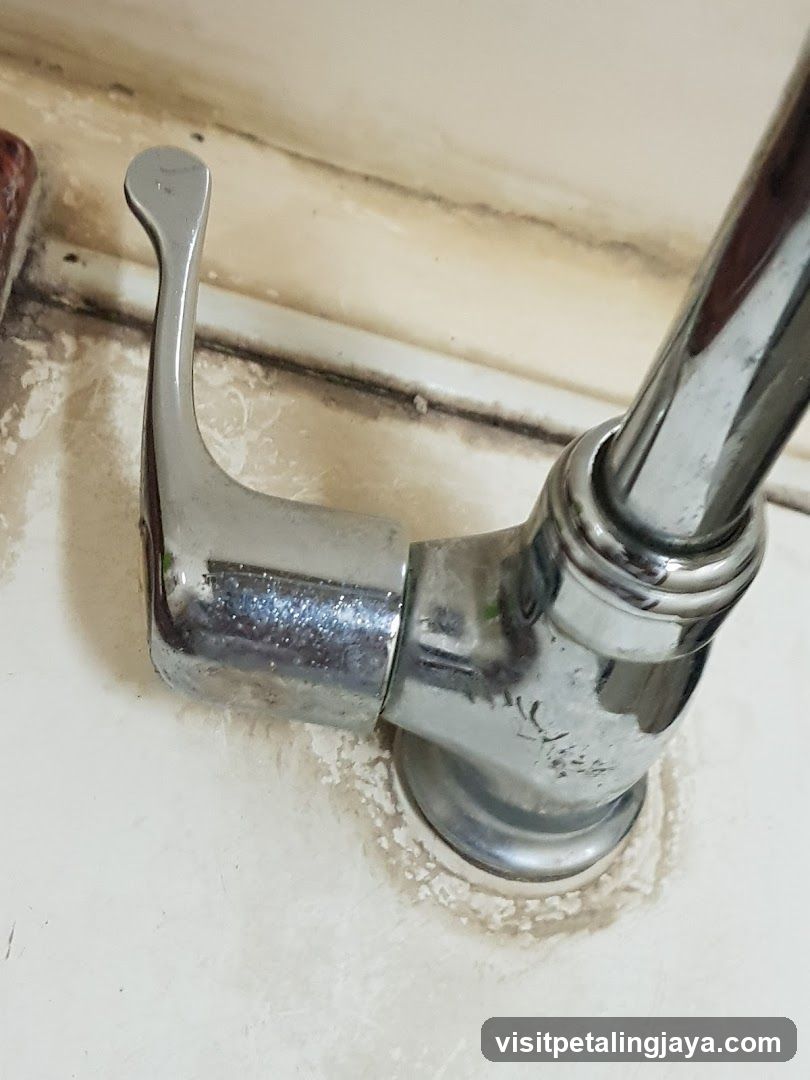 Chronicled faucet