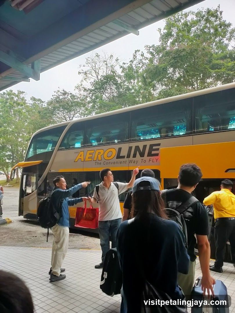 Aeroline Bus Terminal Scene