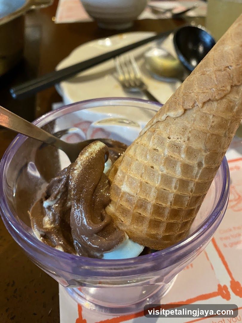 Chocolate Ice Cream with Waffle Cone