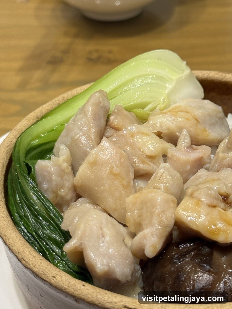 Stewed Chicken with Vegetables