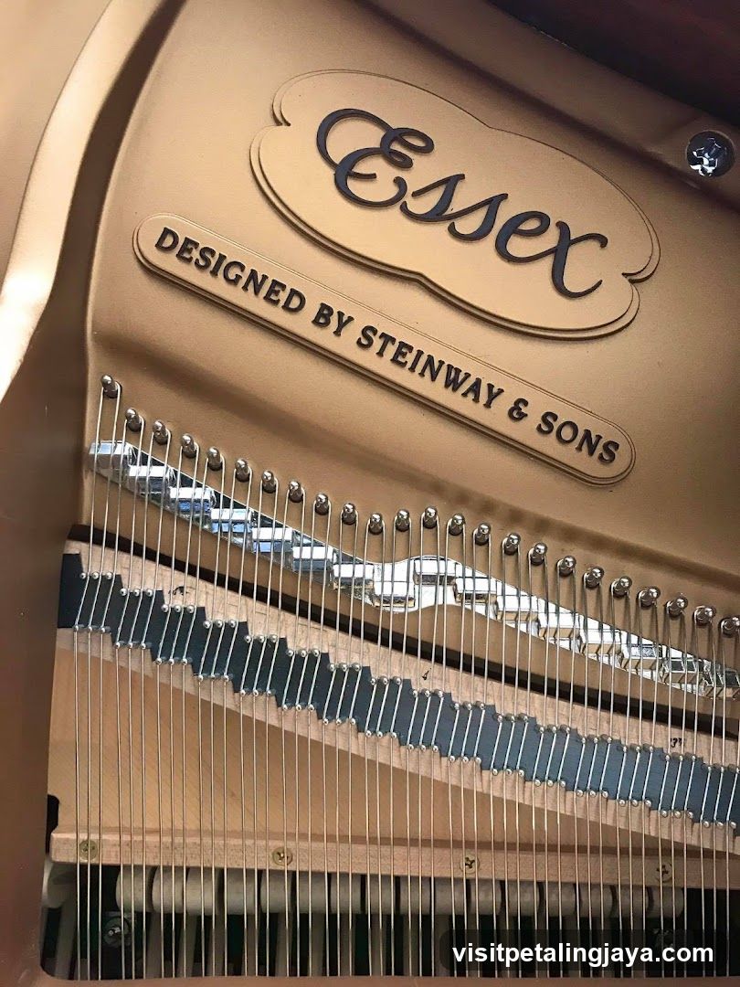 Essex Piano Interior