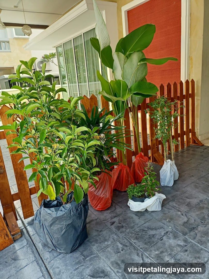 Outdoor Plant Delivery