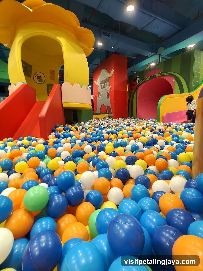 Indoor Ball Pit Play Area