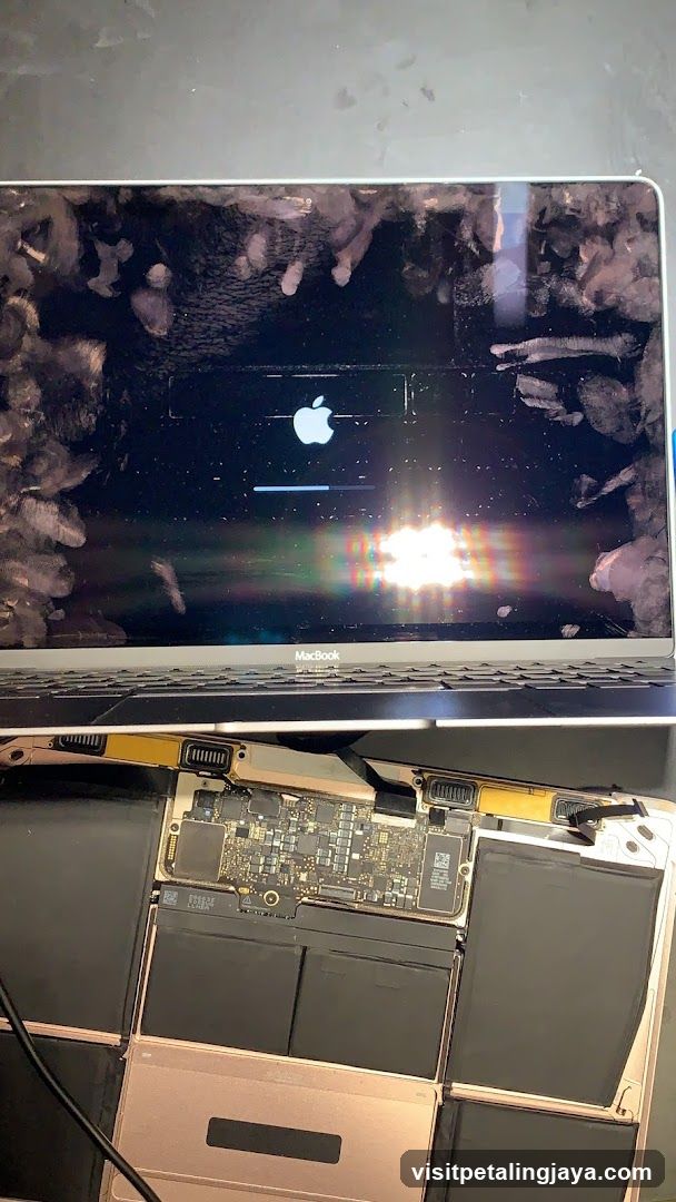 MacBook Repair or Screen Damage