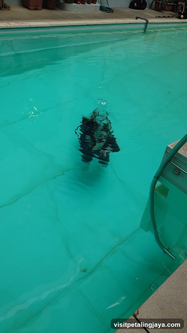 Pool Scene with Person Swimming