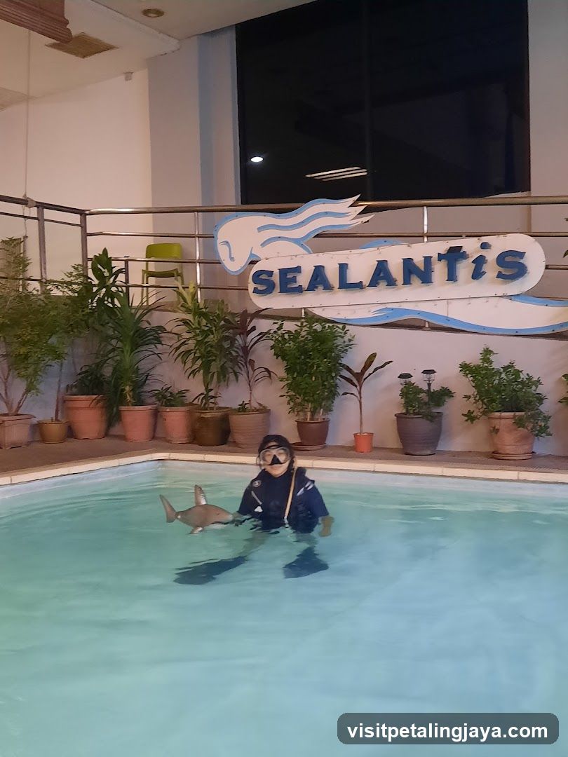 Sealantis Pool Scene