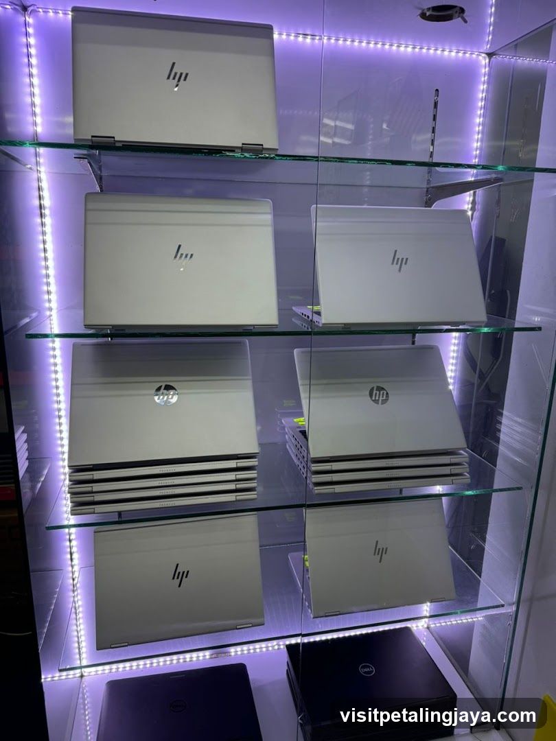 HP Laptops Display Case