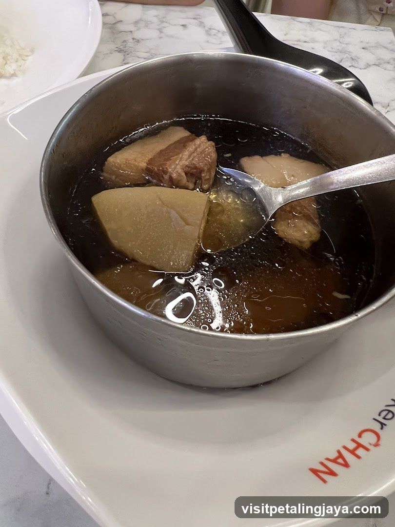 Braised Pork Soup with Radish