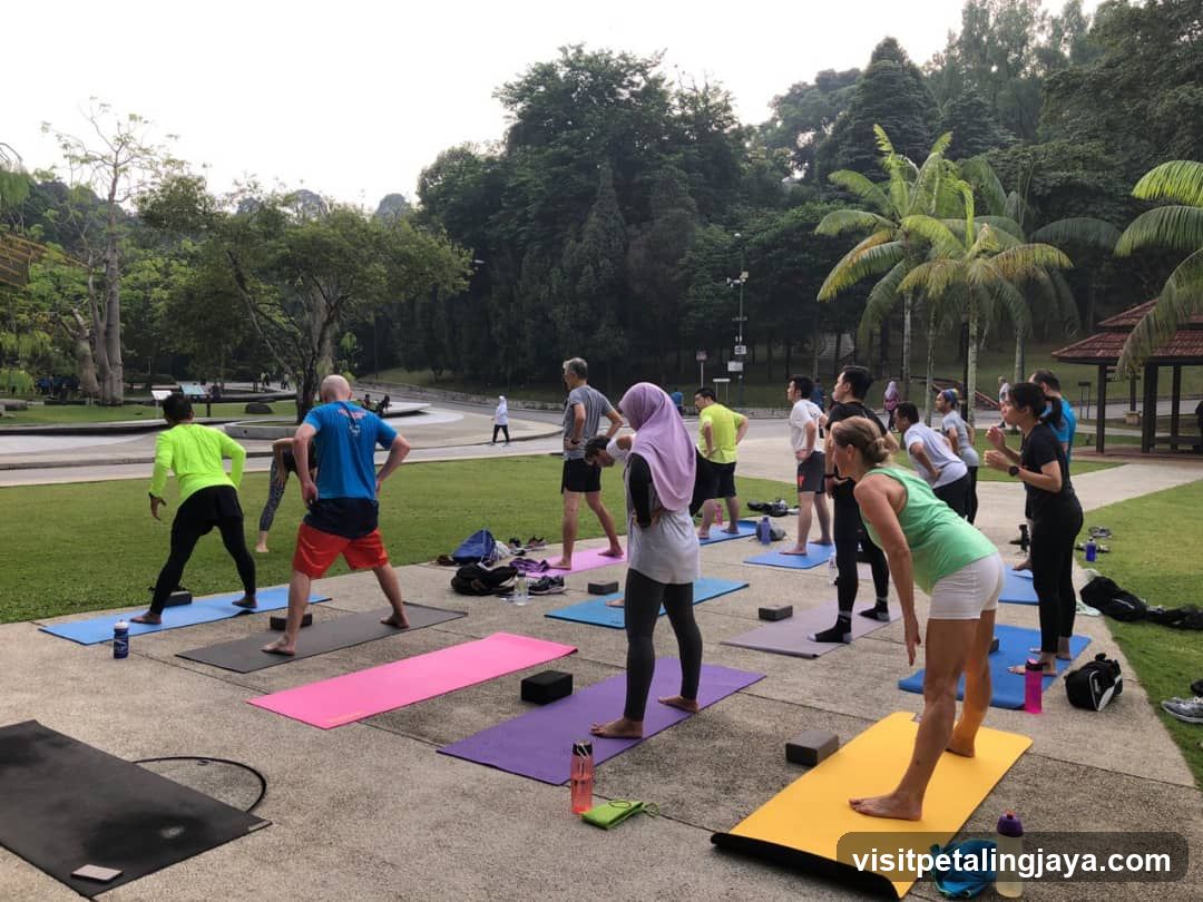Outdoor Yoga Session in Park