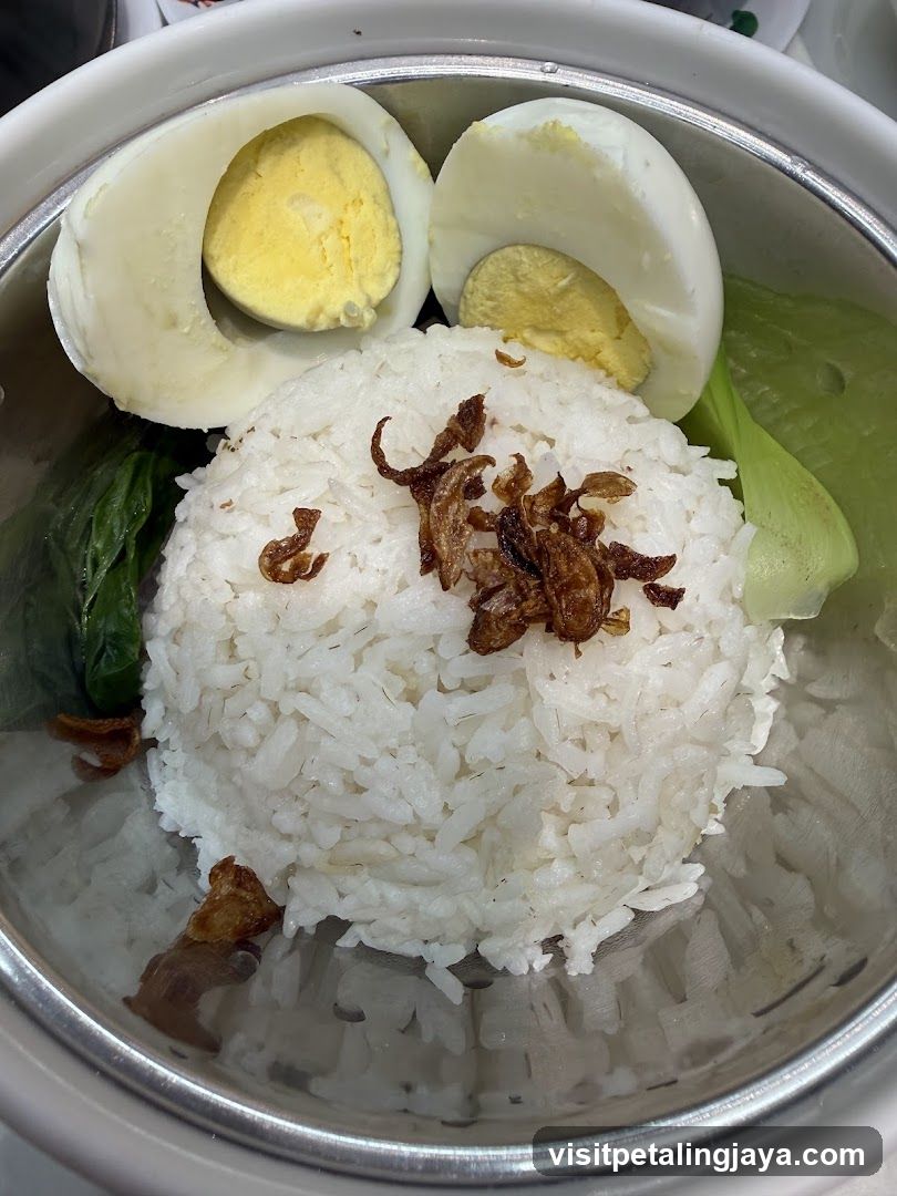 Rice Bowl with Boiled Egg and Fried Onions