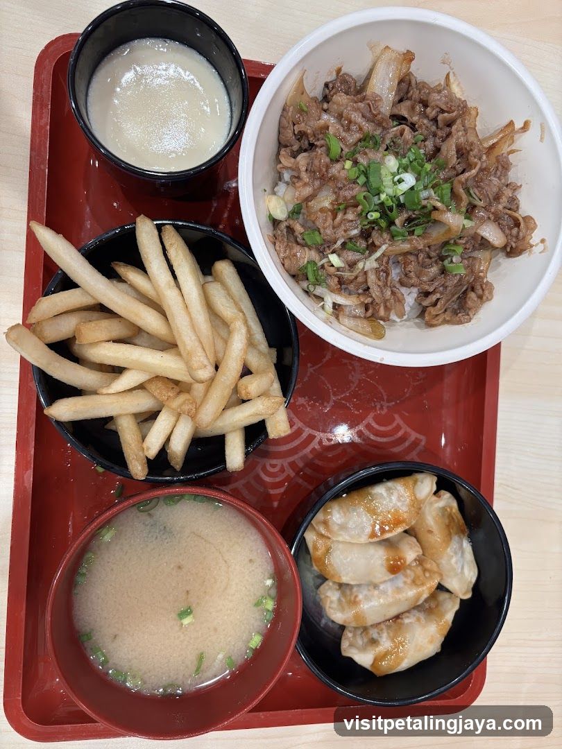 Food Tray with Beef Bowl, Fries, Dumplings and Soup