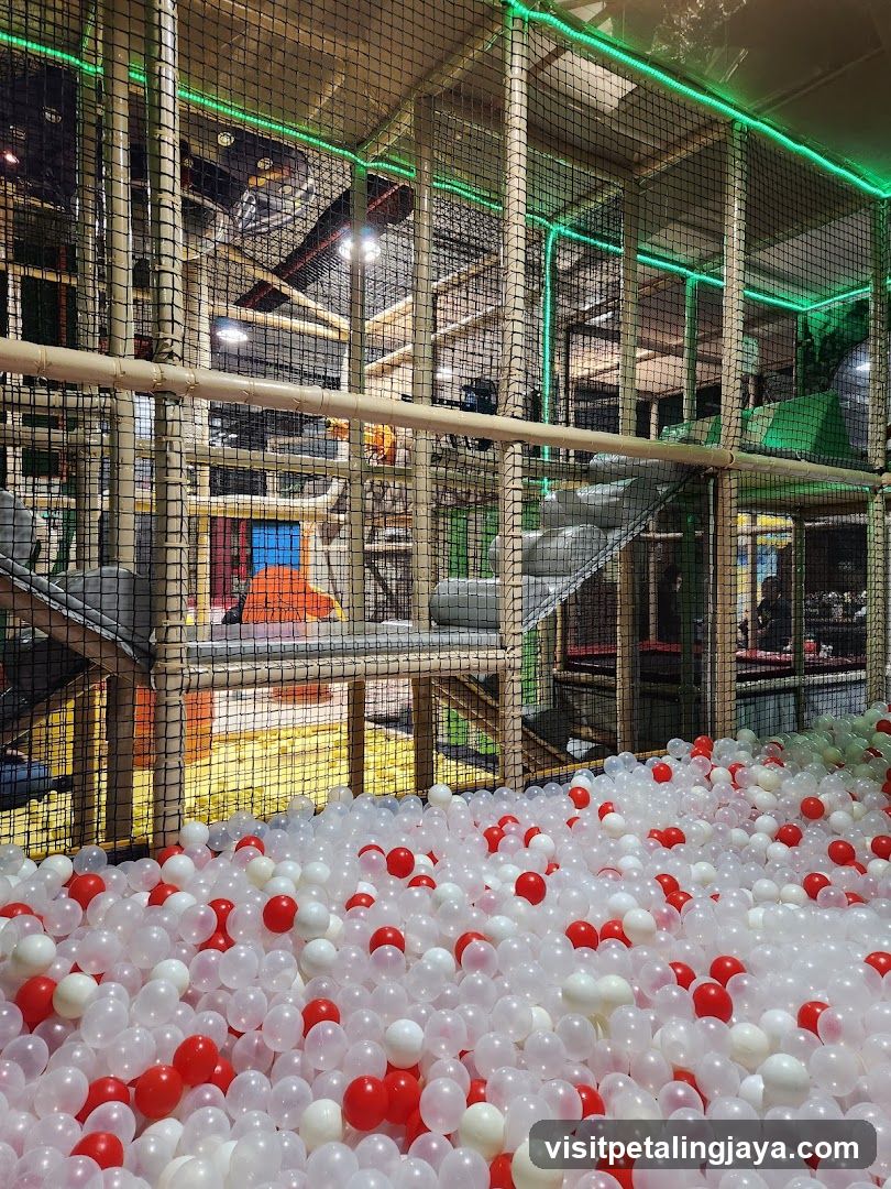 Indoor Play Area with Ball Pit