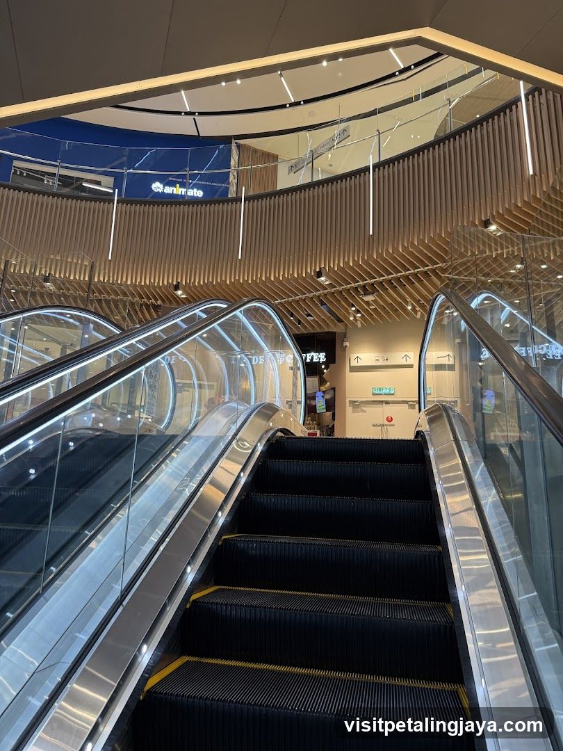 Shopping Mall Interior with Escalators