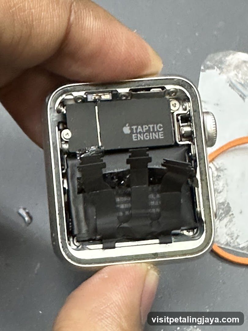 Disassembled Apple Watch with Taptic Engine