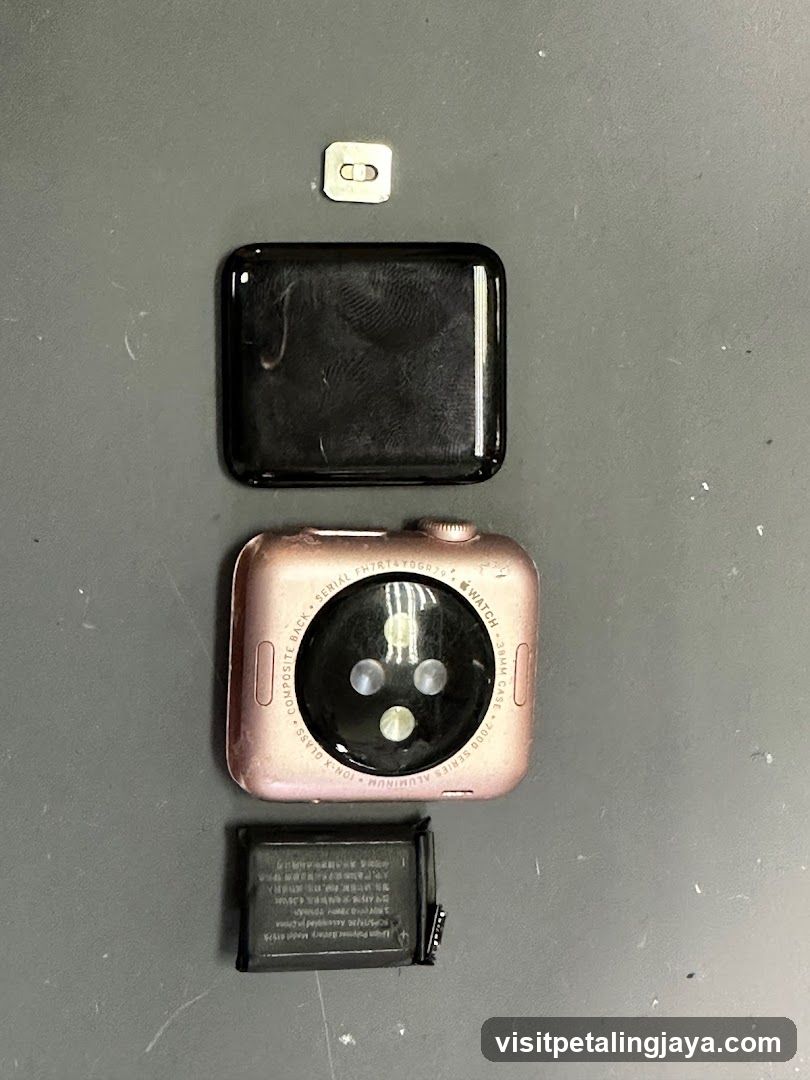 Apple Watch Parts Disassembly