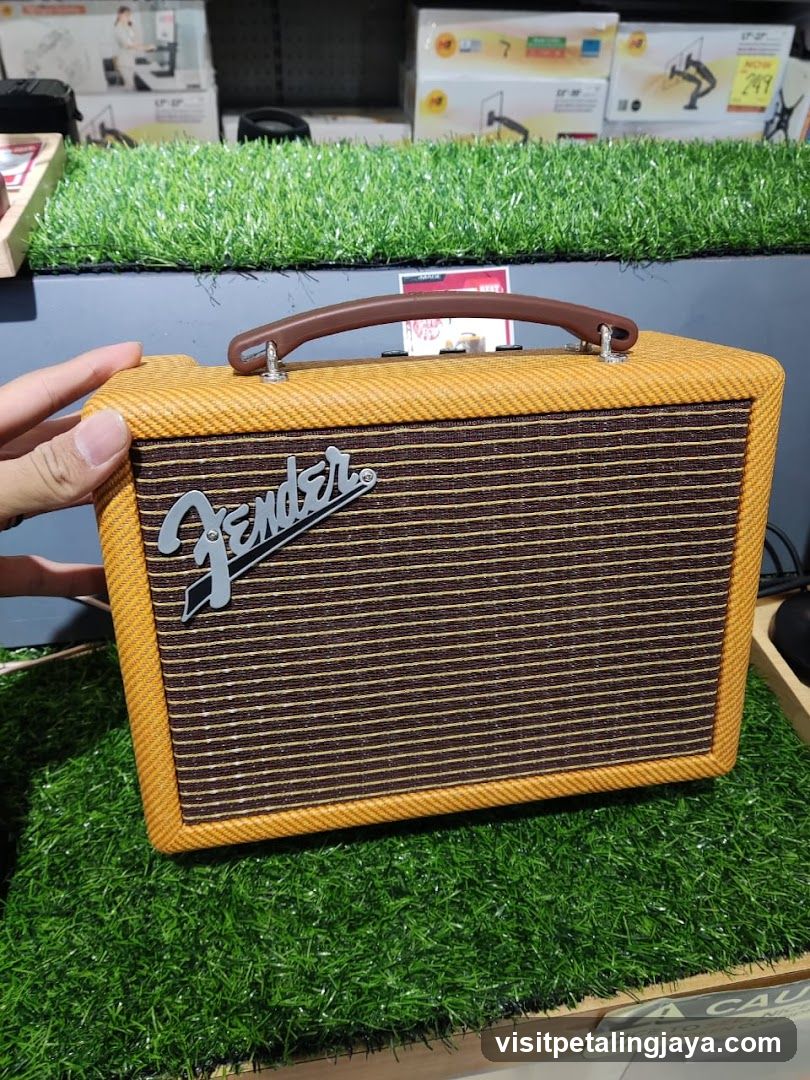 Fender Guitar Amplifier Display