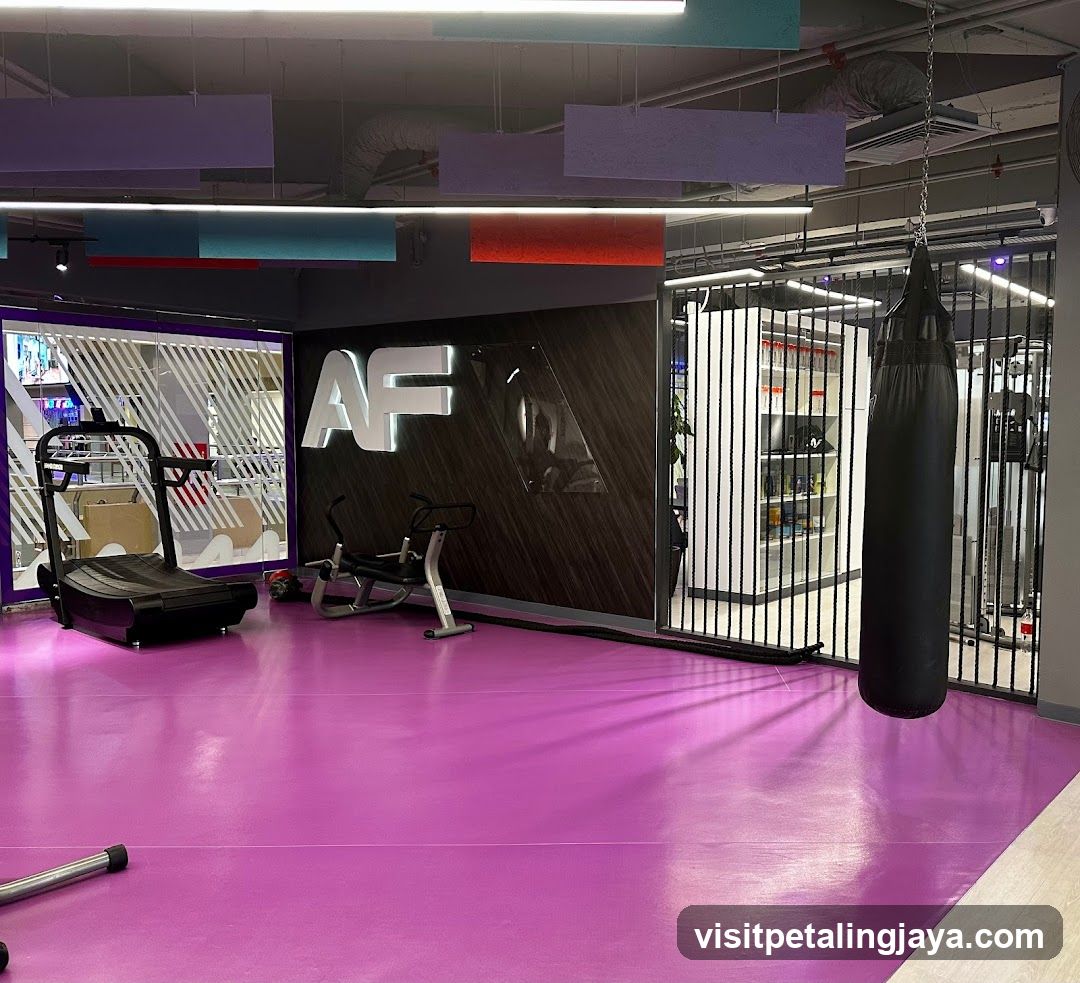 Fitness Interior with Purple Flooring