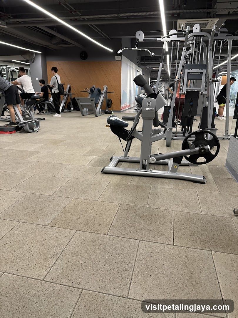 Gym Interior Scene