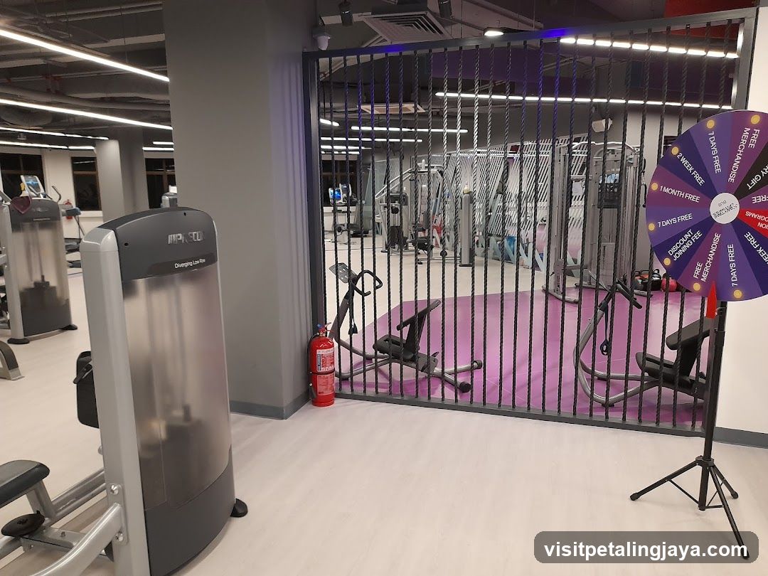 Gym Interior with Spin Wheel