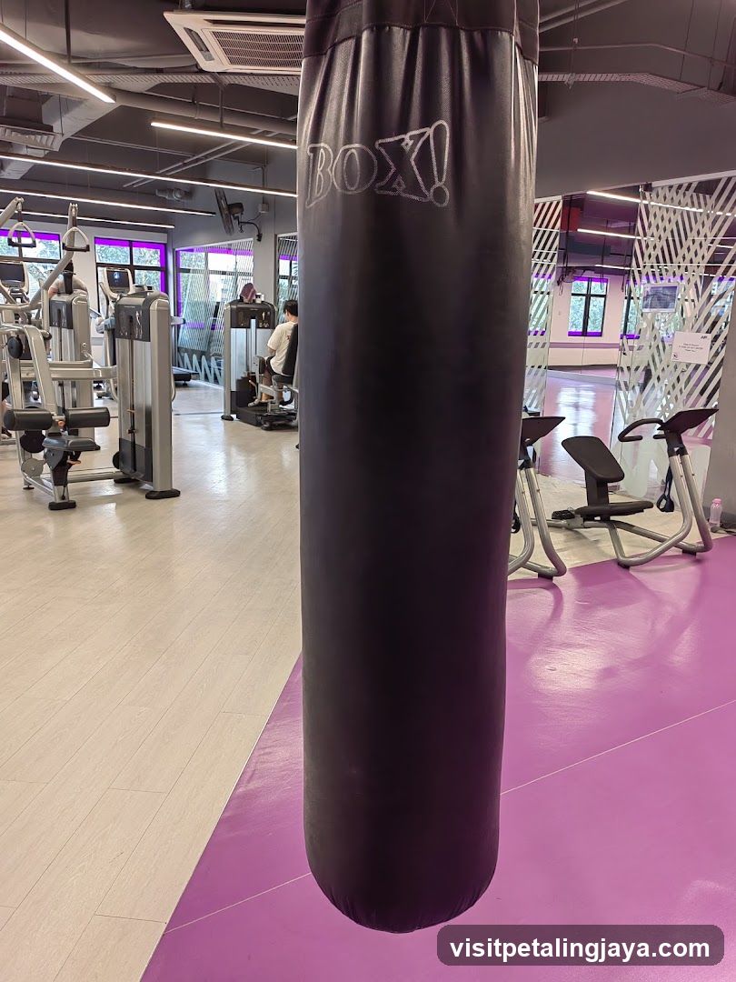 Gym Interior with Punching Bag