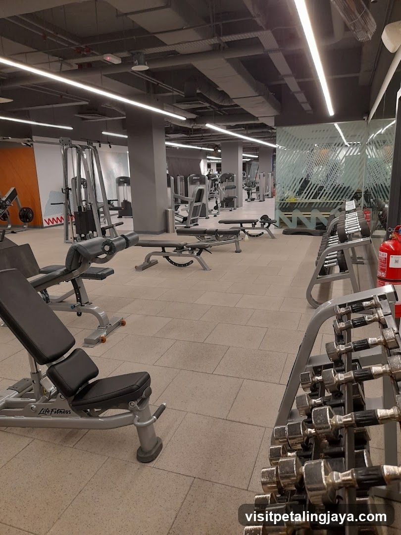 Gym Interior with Equipment