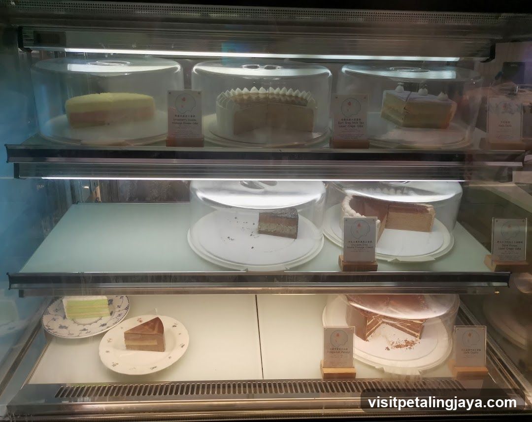 Cake Display Case