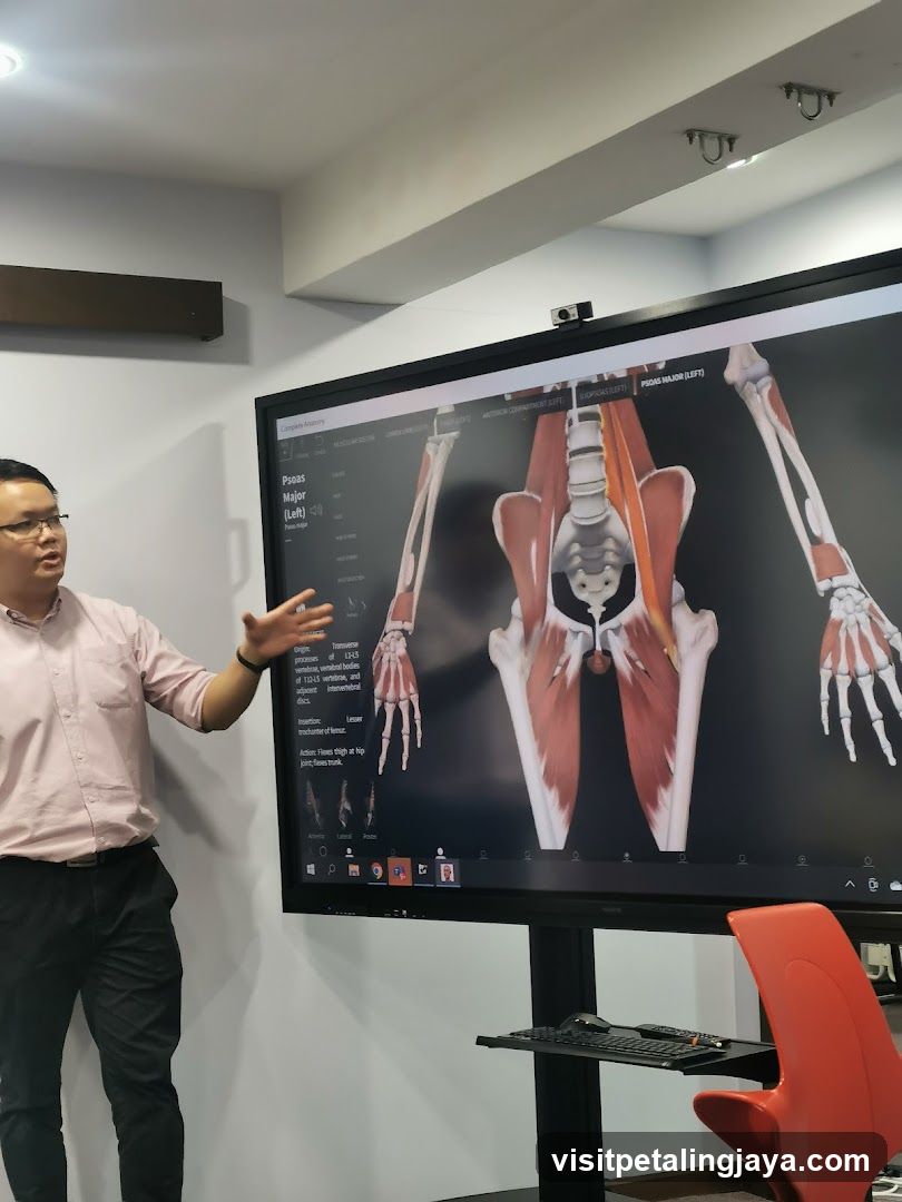 Anatomy Lecture Presentation