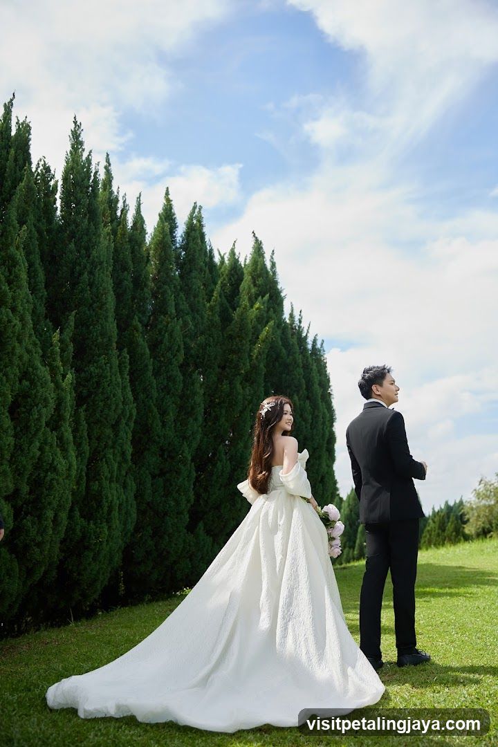 Wedding Photo
