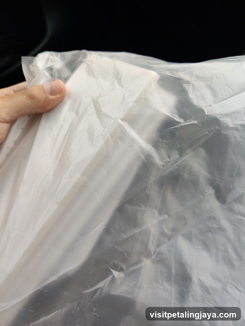 Plastic Bag with Hand