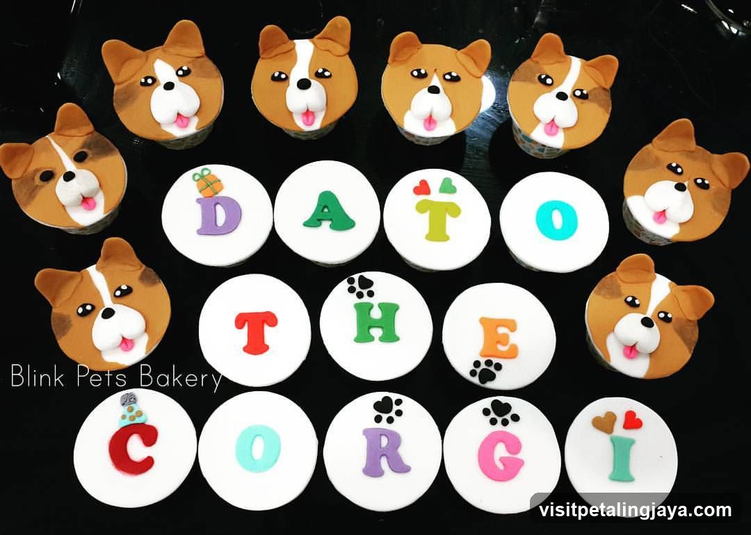 Blink Pets Bakery (Pet Safari - IPC Shopping Center)