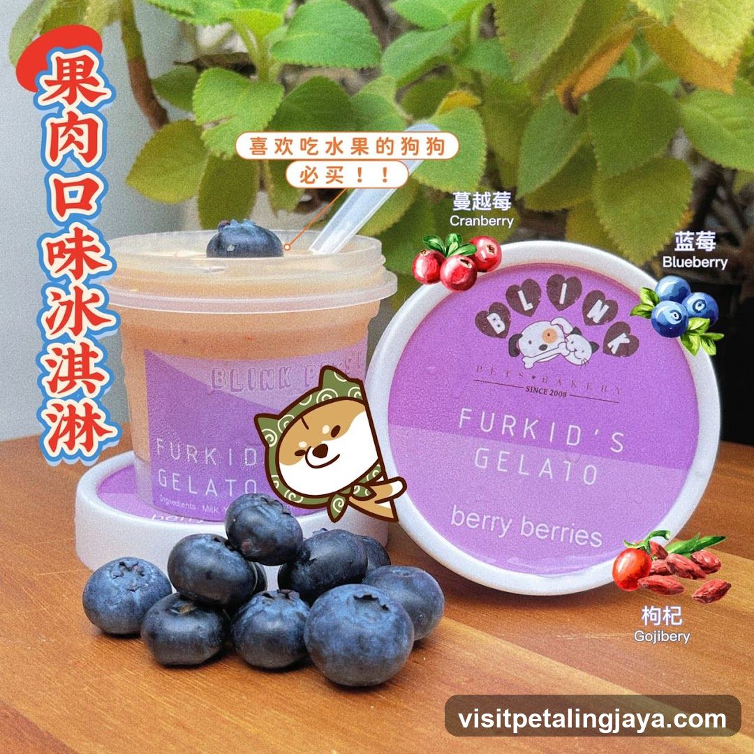 Furkid's Gelato Product Display