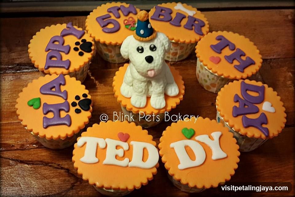Teddy Cupcakes