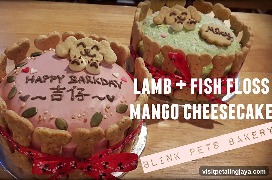 Lamb + Fish Floss Mango Cheesecake