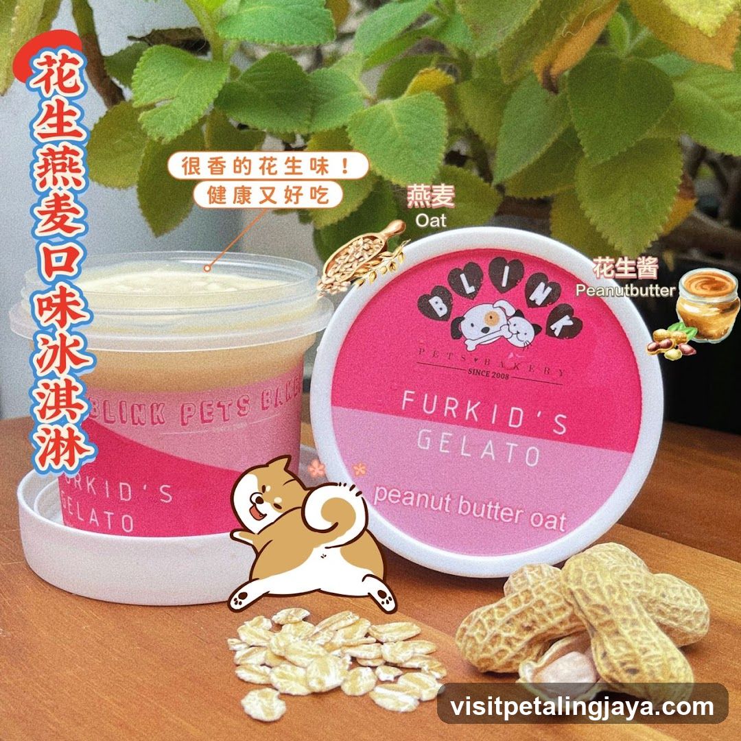Peanut Oat Gelato Product Display