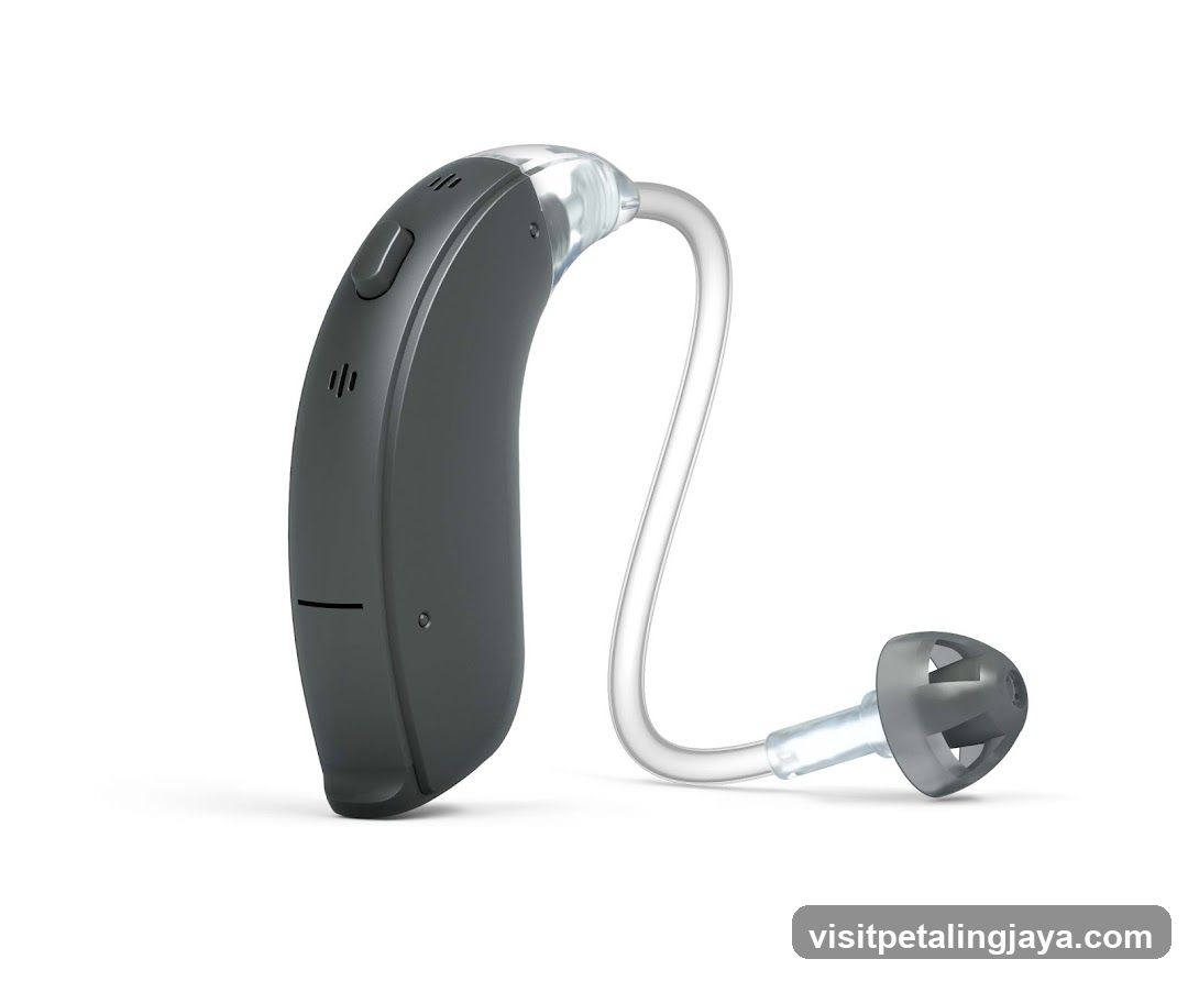 Behind-the-Ear Hearing Aid