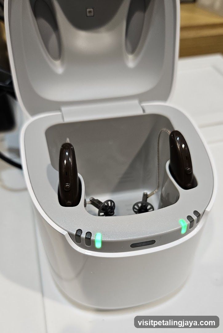 hearing aid cleaning device