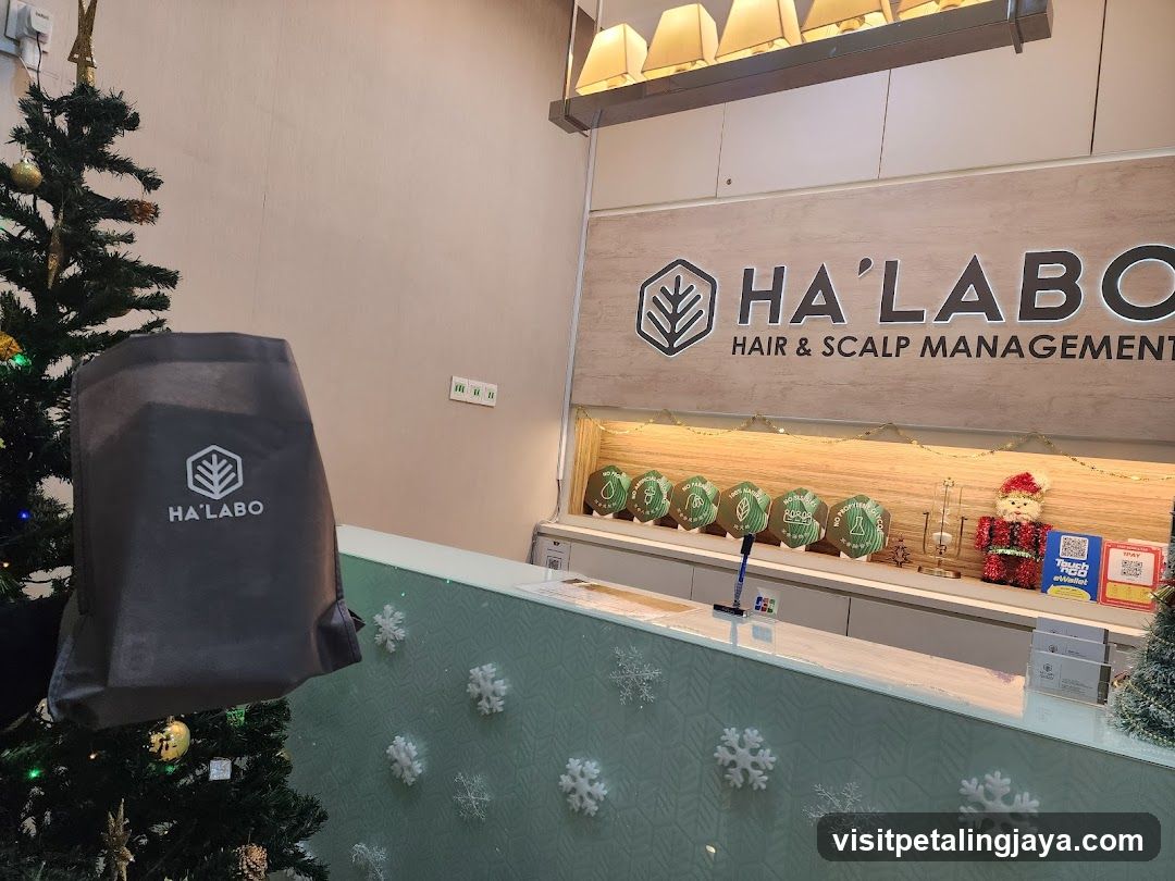 HA'LABO Interior with Christmas Decorations