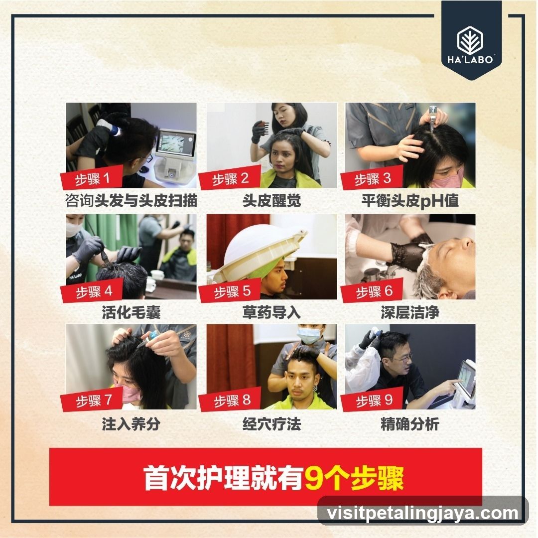 HA LABO Hair Care Process Infographic