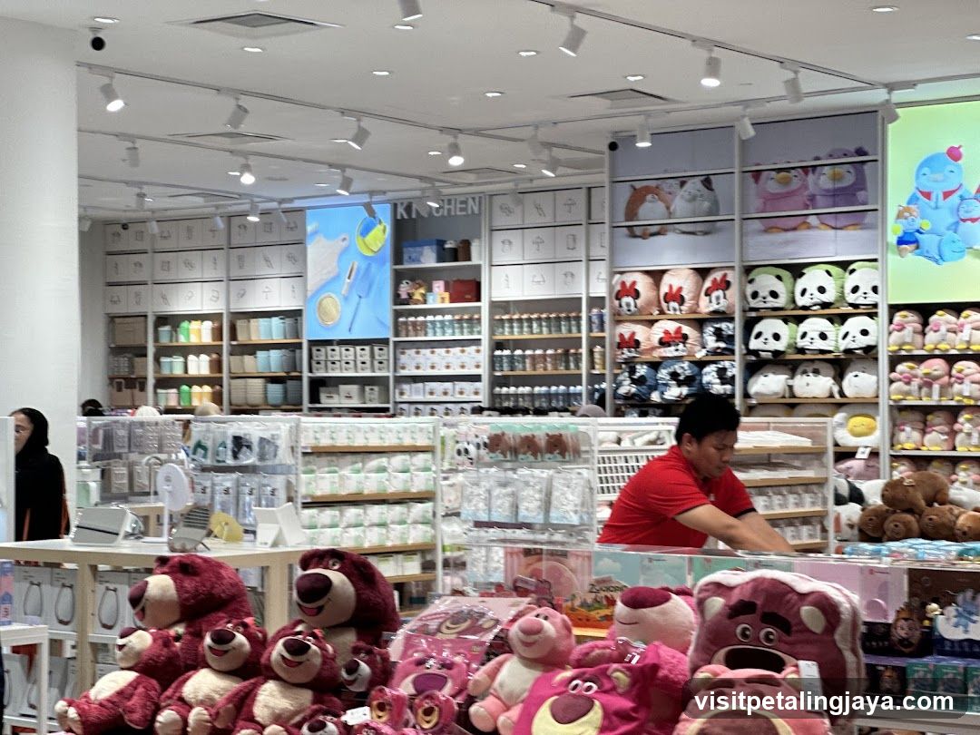 Toy and Home Goods Store Interior